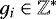 $g_i \in \mathbb{Z}^*$