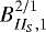 $B^{2/1}_{II_S,1}$