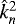 $ \hat{k}_n^2 $