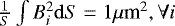 $\frac{1}{S} \int B_i^2 {\mathrm d}S= 1 \mu {\textrm{m}}^2, \forall i$