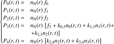 $$\left\{ {\begin{array}{lllllllllllllll}{{P_0}(r,t) = }&{{n_{\rm{N}}}(r){f_0}}\\{{P_1}(r,t) = }&{{n_{\rm{N}}}(r){f_1}}\\{{P_2}(r,t) = }&{{n_{\rm{N}}}(r){f_2}}\\{{P_3}(r,t) = }&{{n_{\rm{N}}}(r)[{f_3} + {k_{0,3}}{n_0}(r,t) + {k_{1,3}}{n_1}(r,t) + {k_{2,3}}{n_2}(r,t)]}\\{{P_4}(r,t) = }&{{n_{\rm{N}}}(r)[{k_{2,4}}{n_2}(r,t) + {k_{3,4}}{n_3}(r,t)]}\end{array}} \right.$$