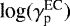 Mathematical equation: $\textrm{log}(\gamma^{\textrm{EC}}_{\textrm{p}})$
