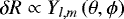 Mathematical equation: $\delta R \propto Y_{l,m}\left(\theta,\phi\right)$