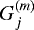 Mathematical equation: $G_j^{(m)}$