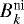 Mathematical equation: $B_k^{\textrm{ni}}$
