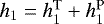 Mathematical equation: $h_1=h_1^{\text{T}}+h_1^{\text{P}}$