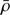 $ \bar{\rho} $