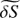 $ \widetilde{\delta S} $