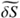 $ \widetilde{\delta S} $