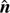 $ {\hat{\boldsymbol{n}}} $
