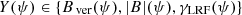 $ Y(\psi)\in \{ B_\text{ ver} (\psi), |B| (\psi), \gamma_{\textsc{LRF}} (\psi) \} $