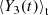 $ \left < Y_3(t)\right > _{\mathrm{t}} $