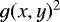 Mathematical equation: $g(x,y)^2$