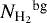 Mathematical equation: $ {N_{\textrm{H}_{2}}}^{\textrm{bg}}$