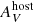 $ A_V^{{\rm{host}}} $