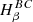 $ H_\beta ^{BC} $