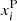 $ x_i^{\mathrm{P}} $