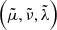 Mathematical equation: $ \left( \tilde{\mu},\tilde{\nu},\tilde{\lambda}\right) $