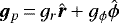 Mathematical equation: ${\bm{g}}_{p}\,{=}\,g_r \hat{\bm r} +g_{\phi} \hat{\boldmath \phi}$