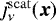 Mathematical equation: $j_{\nu}^{\mathrm{scat}}(\vec{x})$