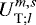 Mathematical equation: ${{{U}_{{\textrm{T}}; {l}}^{m,s}}}$