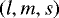 Mathematical equation: $\left( l, m, s \right)$