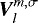 Mathematical equation: $\bm{V}_{l}^{m,\sigma}$