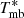 $ T^{\ast}_{\mathrm{mb}} $