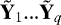 $\tilde{\textbf{Y}}_1...\tilde{\textbf{Y}}_q$