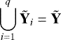 \begin{equation*} \bigcup_{i=1}^{q}\tilde{\textbf{Y}}_i=\tilde{\textbf{Y}} \end{equation*}