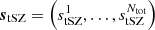 $ \boldsymbol{s}_{{\rm tSZ}} = \left(s_{{\rm tSZ}}^1, \dots , s_{{\rm tSZ}}^{N_{{\rm tot}}}\right) $