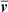 $ {\boldsymbol{\overline{v}}} $