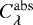 $C^{\mathrm{abs}}_{\lambda}$
