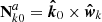 $ \mathbf{N}_{k0}^a = \displaystyle \boldsymbol{\hat{k}}_0 \times \boldsymbol{\hat{w}}_k $