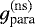 $g_{\textrm{para}}^{(\rm ns)}$