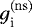 $g_{\textrm{i}}^{(\rm ns)}$