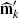 $ \widehat {\bf{m}}_k^{\prime} $