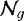 $\mathcal{N}_g$