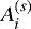$A_i^{(s)}$