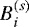 $B_i^{(s)}$