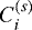 $C_i^{(s)}$