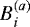$B_i^{(a)}$