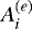 $A_i^{(e)}$