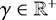 $\gamma \in \mathbb{R^+}$