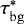 $\tau^{*}_{\mathrm{bg}}$