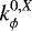 $k^{0,X}_{\phi}$