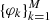 $ \{\varphi_k\}_{k=1}^M $