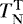 $T_{\mathrm{N}}^{\mathrm{T}}$