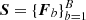 $ \boldsymbol{S} = \{\boldsymbol{F}_b\}_{b=1}^B $