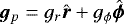 $\bm{g}_{p}=g_r \hat{\bm r} +g_{\phi} \hat{\boldsymbol \phi}$